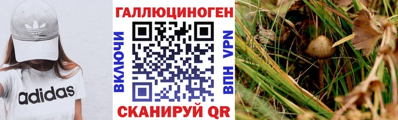 Псилоцибиновые грибы мухоморы  Октябрьский 