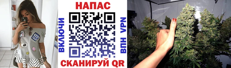 Канабис OG Kush  omg ONION  Октябрьский  закладки 
